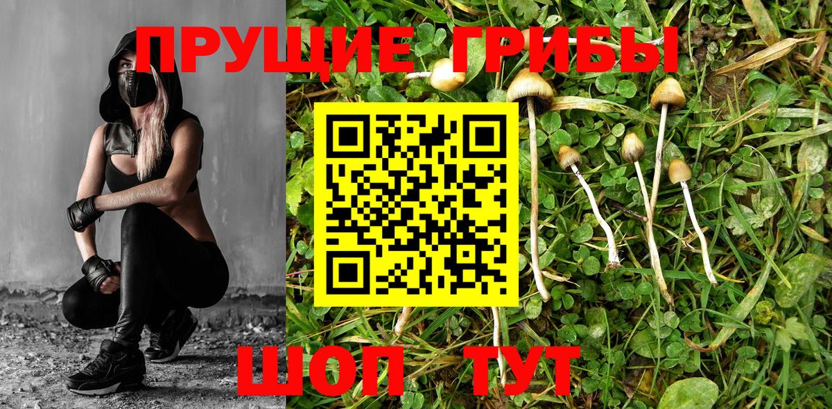 Галлюциногенные грибы MAGIC MUSHROOMS Борзя